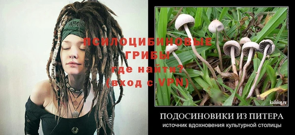 бошки Инсар
