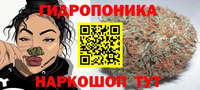 амф Кимры