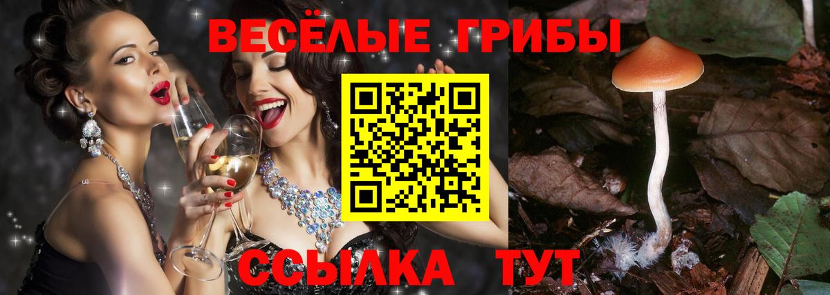 Галлюциногенные грибы ЛСД  Вход с VPN  Сибай  Псилоцибиновые грибы Psilocybine cubensis 