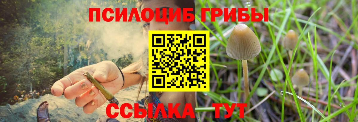 Галлюциногенные грибы Cubensis  Сибай 